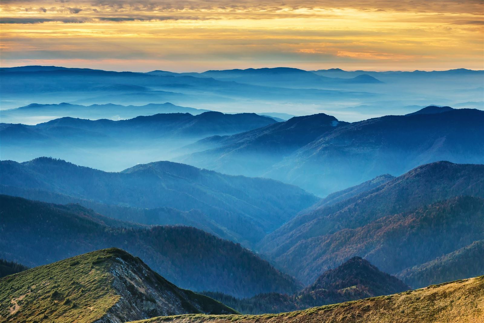 Blue Mountains